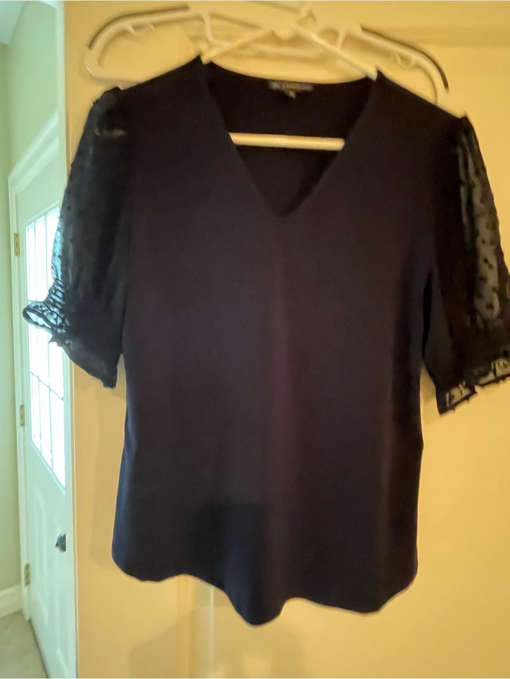 Adrianna Papell Navy V-Neck Top with Sheer Polka-Dot Sleeves